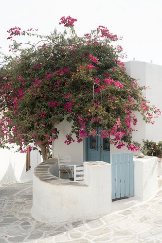 Blue door with bougainvillea | travel photography print | Cyclades, Greece
