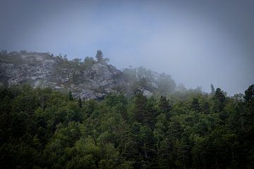 mountain forest by Sebastian Stef