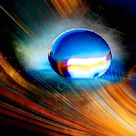 Hans Carlowitz Profile picture