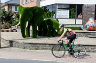 Flanders by Sander de Wilde Photographic thumbnail