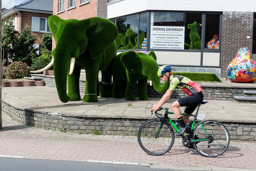 Flanders by Sander de Wilde Photographic