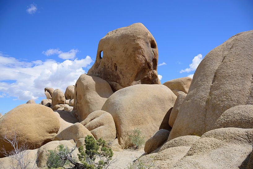 Just a few of the Jumbo Rocks by Frank's Awesome Travels