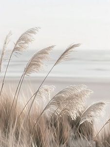 L'herbe de la pampa sur la côte