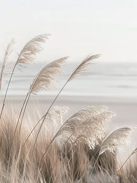 Pampas grass at the coast by Melanie Viola