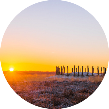 Zonsopkomst Regte Heide in Riel, Noord-Brabant. van Jayden Heeffer