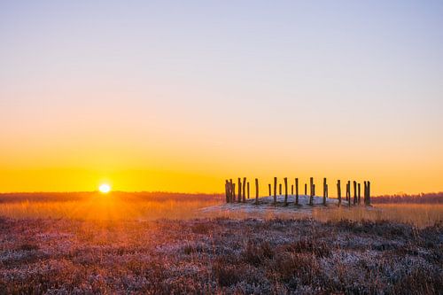 Lever de soleil Regte Heide à Riel, Brabant du Nord.