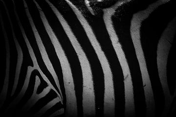 Minimalistische zwart-wit zebra van Nicolette Suijkerbuijk Fotografie