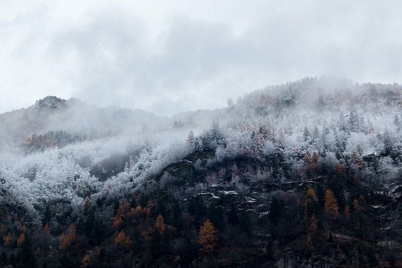 Mother Nature by Hello Pompoyo