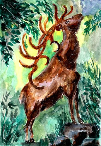 Vieux cerf appelle à la forêt