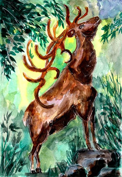 Alter Hirsch ruft in den Wald von Sebastian Grafmann
