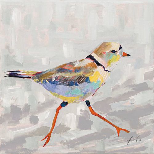 Pluvier côtier I Grey, Jeanette Vertentes