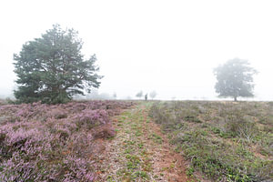 Landschaftsfoto