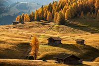 Golden autumn in Dolomites