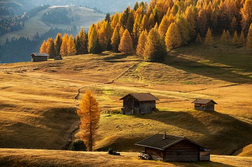 Golden autumn in Dolomites