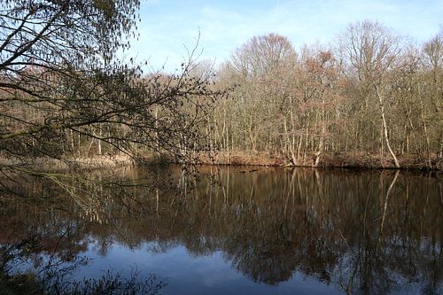Wyldemerk