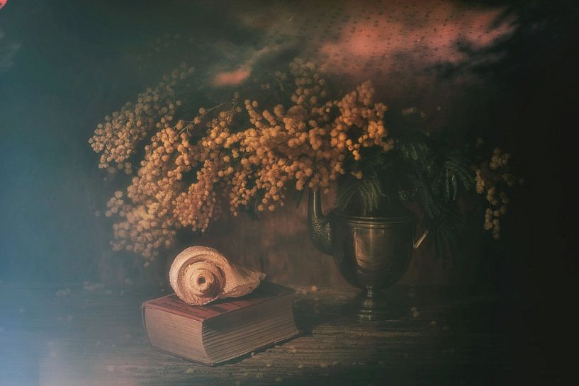 Traum von der Vergangenheit von Saskia Dingemans Awarded Photographer
