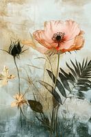 Mohnblume