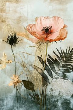 Mohnblume von Zen und Mehr