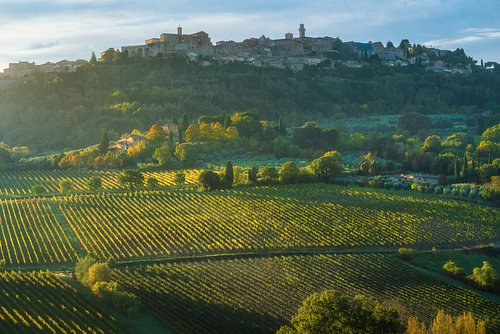 Montepulciano Medieval Village and Vineyards at Dawn, Tuscany