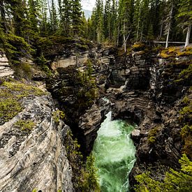 Athabasca Falls, Jasper van Jelle Dijkstra