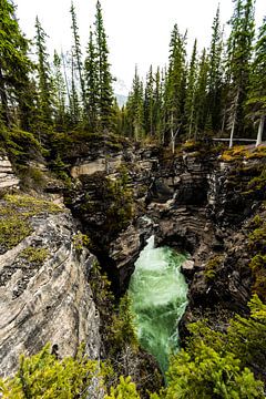 Athabasca Falls, Jasper van Jelle Dijkstra