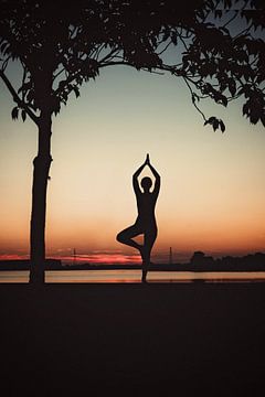 Yogapose als Silhouette während der untergehenden Sonne von Mijke Bressers