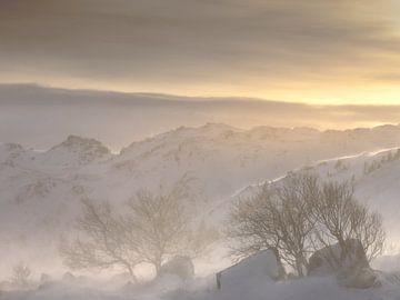 Snowy landscape in backlight in Norway