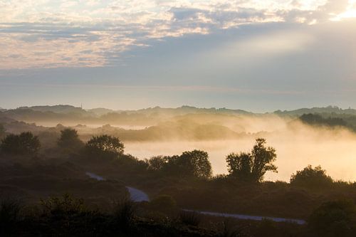 Chemin de randonnée à travers une dune avec un paysage de brouillard matinal
