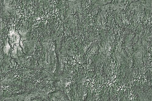 Green Relief Pattern Abstract