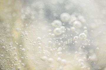 des bulles dans la glace