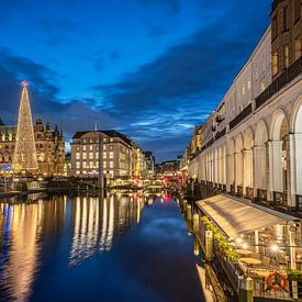 Hanzestad Hamburg, Duitsland van Alexander Ludwig
