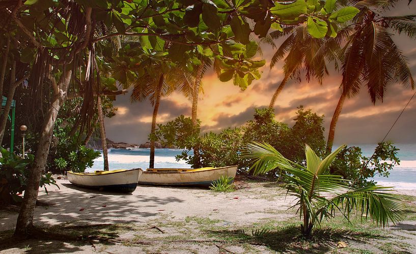 sea-palm-island by HMS