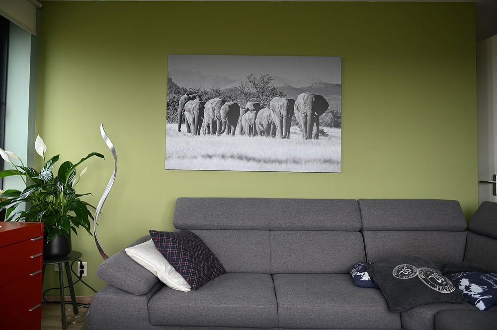 Schwarz-Weiß-Foto einer Herde Wüstenelefanten / Elefanten in Twyfelfontein, Namibia  von Martijn Smeets 