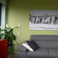 Kundenfoto: Schwarz-Weiß-Foto einer Herde Wüstenelefanten / Elefanten in Twyfelfontein, Namibia von Martijn Smeets, auf leinwand
