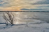 Gefrorenes Wattenmeer bei Oosterland auf Wieringen von eric van der eijk Miniaturansicht