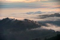 Mystical mists