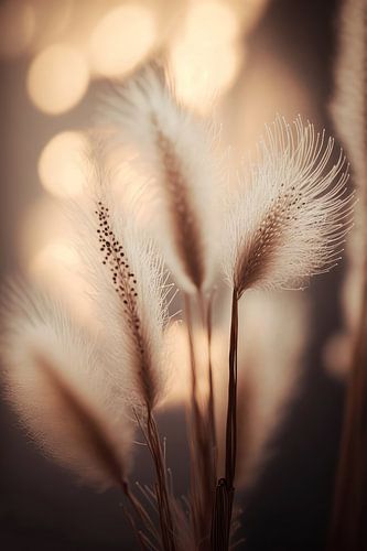 Dans le soleil du matin