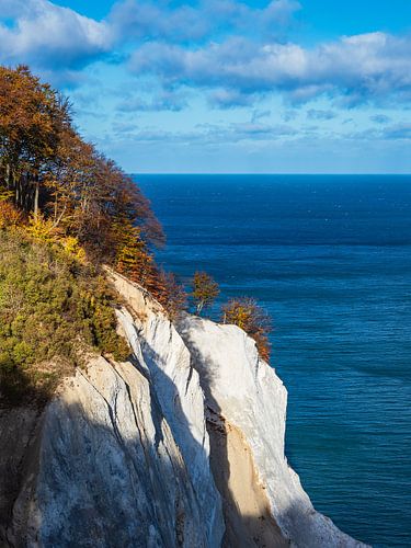 chalk cliffs on the Baltic coast on the island of Moen in Denmark