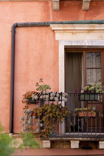 Balcon méditerranéen avec mur rose et diverses plantes succulentes par Elyse Madlener