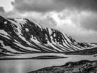 Strynefjellsweg