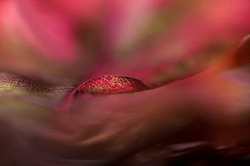 Wassertropfen mit Herbstfarben