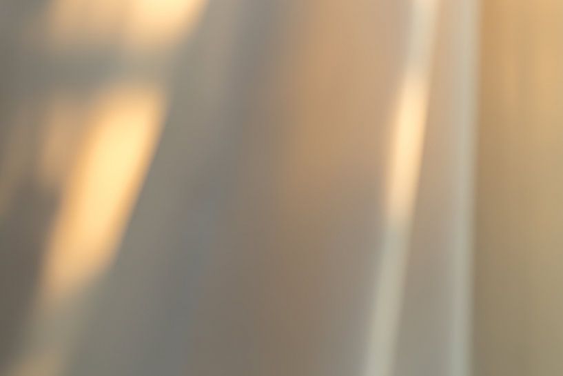 Flowing sunlight by Evelien van Rijn