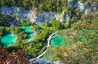 Plitvice meren in Kroatië van Bart Nikkels thumbnail