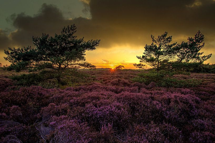 sunset between 2 trees by peterheinspictures