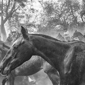 Gauchos et chevaux sur Eric Verdaasdonk