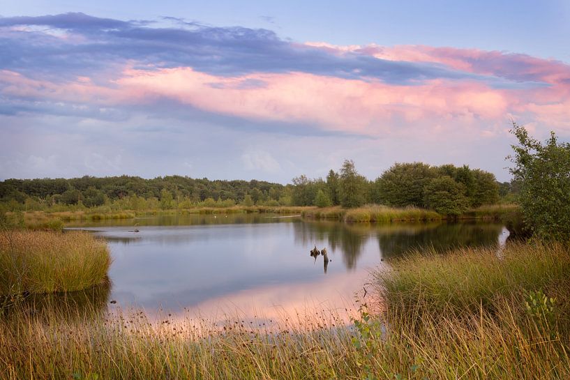 Drentse fen unter schönen Wolken von KB Design & Photography (Karen Brouwer)