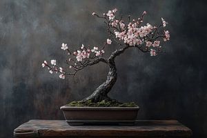Bonsaibaum Stillleben Mandelblüte elegant