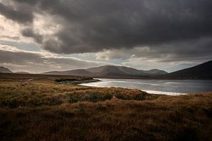 Irish coast in autumn