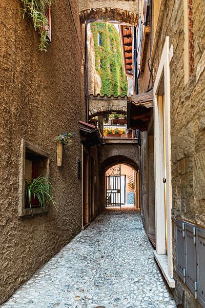 Oude stad Gardameer van Tim Lee Williams