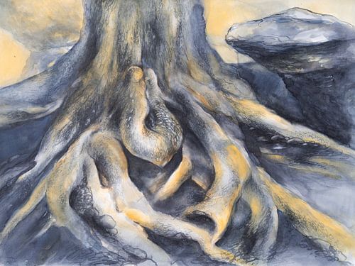 Root on the rock plateau